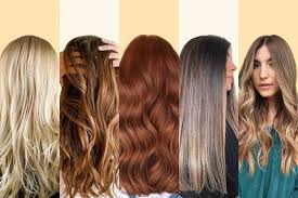 Coloración 2